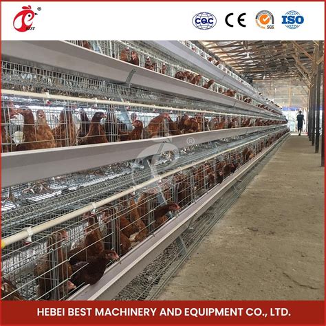 Bestchickencage A Type Hen Coop Breeder Cage China Commercial Brooder