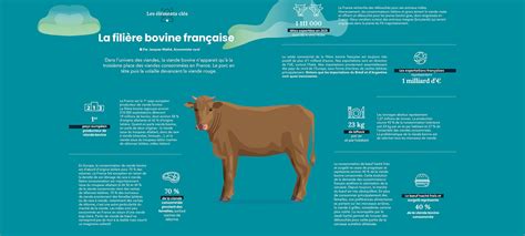 La Fili Re Bovine Fran Aise En