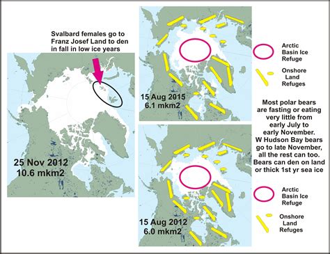 august  polarbearscience