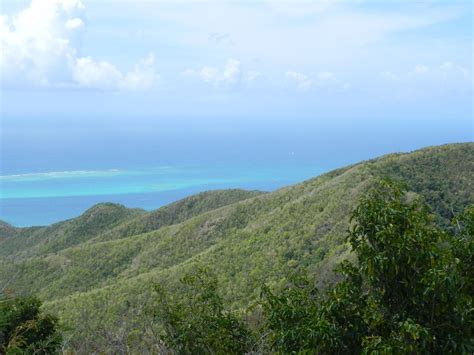 The Surprisingly Enjoyable Hiking Trails of Antigua