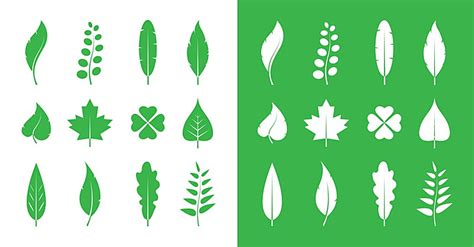 Set Of Leaf Icons In Vector Formatwhite And Green Backgrounds Included