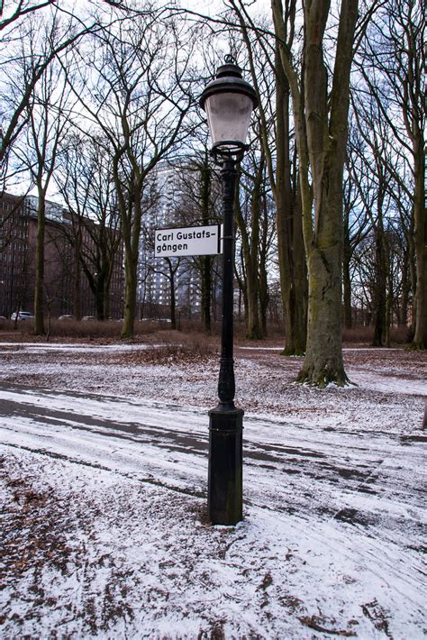 In the park Malmö Sweden Maria Eklind Flickr