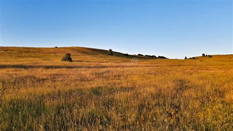 Field, Grassland, Ecosystem, Plain Picture. Image: 110614708