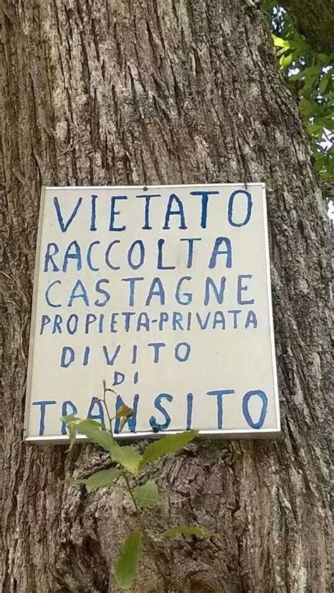 Pin Di Roberto A Su Scritte E Cartelli Cartelli Divertenti