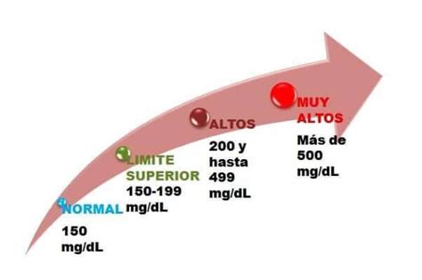 Niveles De Trigliceridos Normales