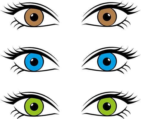 Eyes 1185176 Clipart Eye Color Clipart Png Download Full Size