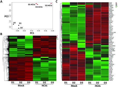 Hcvc Induces A Distinctive Gene Expression Profile In Cd14 Monocytes