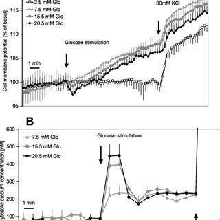 Effects Of Glucose On Cell Membrane Potential And Cytosolic Ca 2 Levels