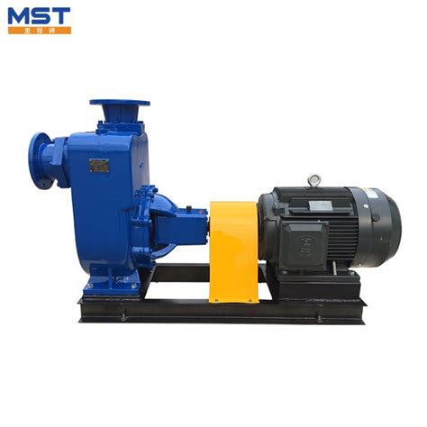 6inch Cast Iron Electric Motor Centrifugal Horizontal Self Priming