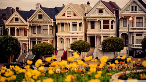 Painted Ladies - 1920x1080 - Download HD Wallpaper - WallpaperTip