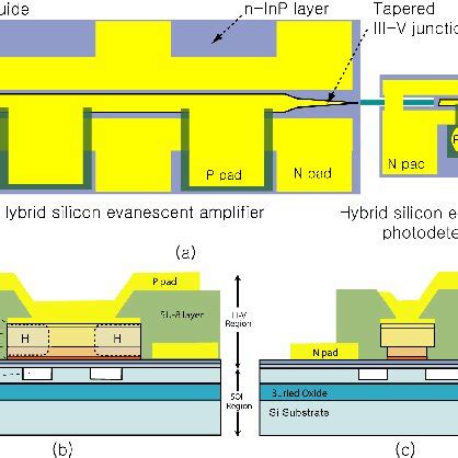 A Top View Of A Hybrid Silicon Evanescent Pre Amplified Receiver B