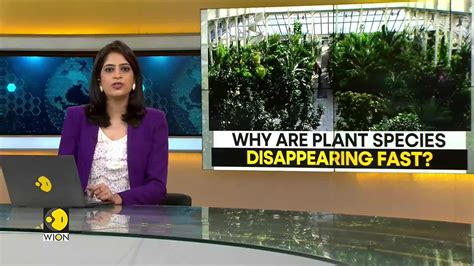 Wion Climate Tracker Why Are Plant Species Disappearing Fast World News