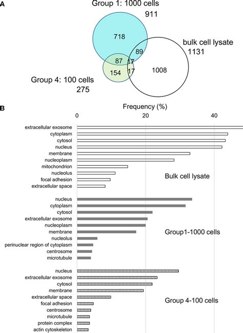 Proteome Profiling In Micro And Conventional Proteomics A Venn