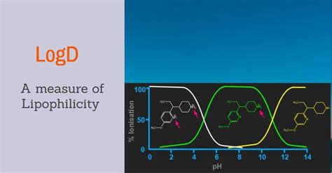 Understanding Logd A Measure Of Lipophilicity