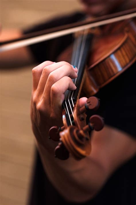 Consigli Violino Acquisto Marche Modelli Misura E Come Iniziare