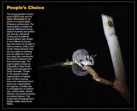 2021 Threatened Wildlife Photographic Competition Australian Wildlife