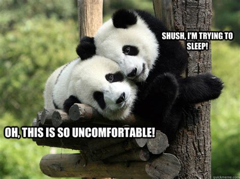 oh, this is SO uncomfortable! Shush, I'm trying to sleep! - Tired pandas - quickmeme