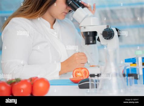 Checking Fruit And Vegetables For Harmful Elements Laboratory For