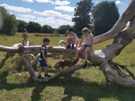 Wallingford Castle Gardens And Meadows