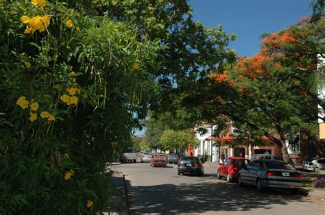 Chaco Argentina Clima Turismo Costumbres Ciudades Y M S