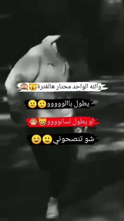 تجميع مقاطع تيك توك💃🏻🤍 قصف جبهات 👻 ‍🩹عبارات مضحكة🐸💔 اجمل ستوريات انستا