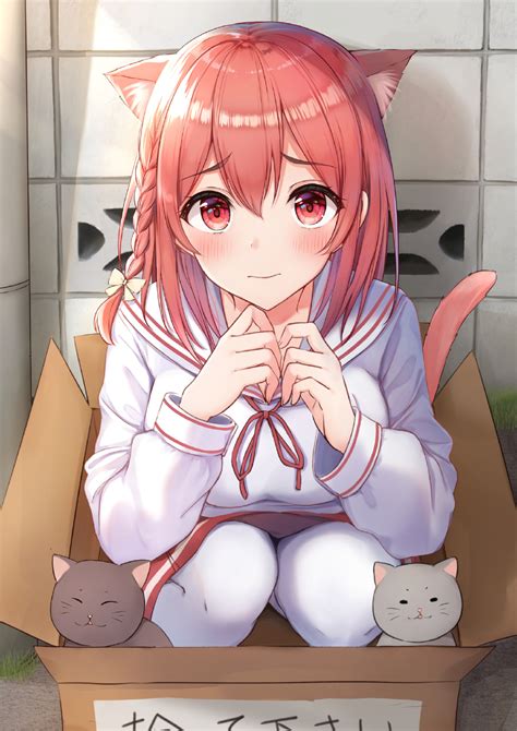 Papel De Parede Garota Do Gato Anime Meninas Anime Gatos Olhos Vermelhos Ruiva Uniforme