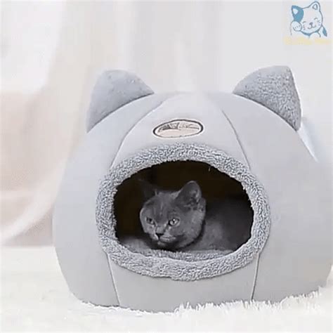 Cozy Cat Cave – KABE SMART