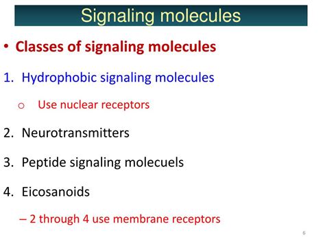 PPT - Cell Signaling I Signaling molecules and their receptors PowerPoint Presentation - ID:5777182