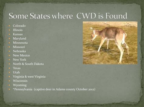 Ppt Chronic Wasting Disease Cwd Powerpoint Presentation Free