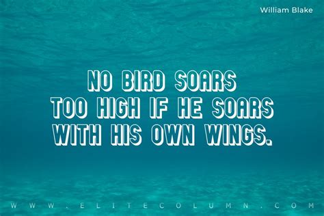 50 Wings Quotes That Will Empower You (2023) | EliteColumn