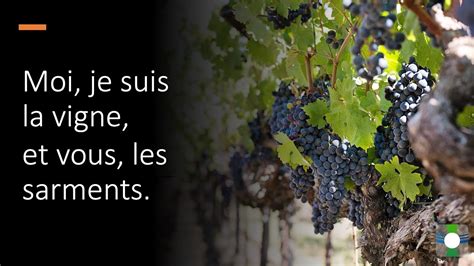 Messe du 5ème dimanche de Pâques 28 avril Moi je suis la vigne et