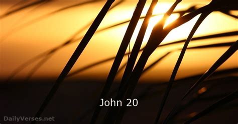 John 20 Nlt And Nrsv