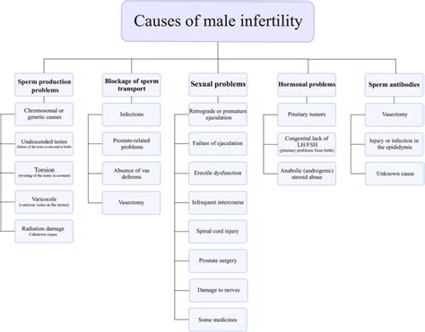 Infertility In Men