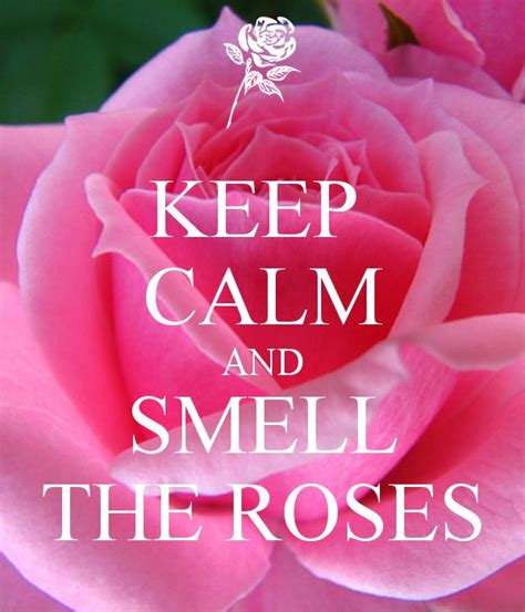 Stop And Smell The Roses Quotes. QuotesGram