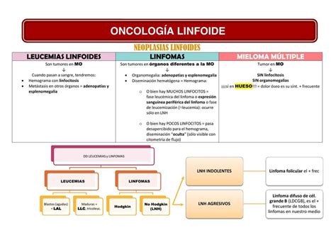 Neoplasias Linfoides Calmatensa Udocz