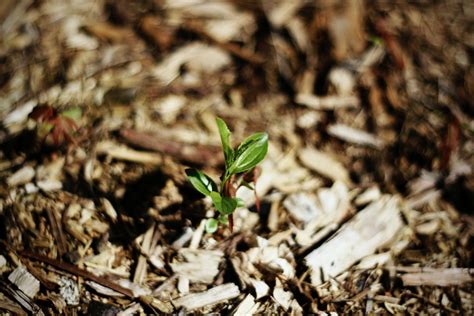 Here Is How To Turn Over Soil Like A Pro Gardener