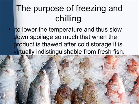 freezing and chilling in fish processing | PPT