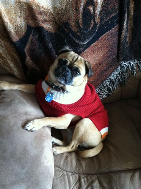 Colonial Funeral Home & Crematory: Service and Obituary Information 12