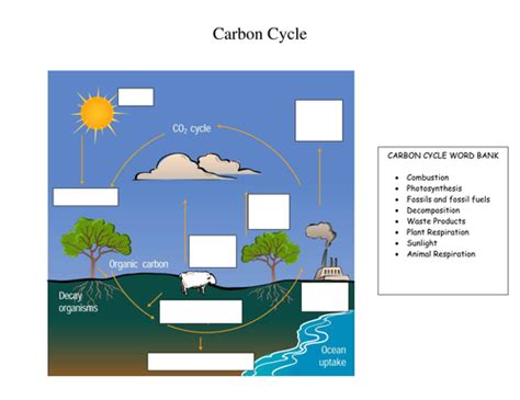 Carbon Cycle And Green House Effect Activities By Tomllewellyn Teaching Resources Tes