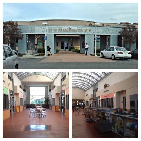 san jose animal control services 4