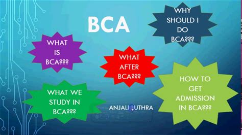 What Is Bca How Can I Go For Bca What Do We Study In Bca What Is The