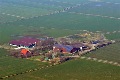 Focus: German dairy farm staying connected to consumers - Agriland.co.uk