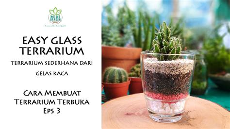 Easy Glass Terrarium Terrarium Sederhana Dari Gelas Kaca Cara