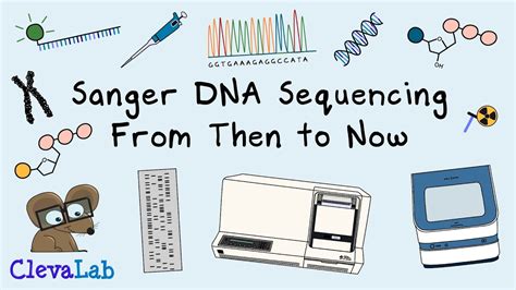 Sanger Dna Sequencing From Then To Now Youtube