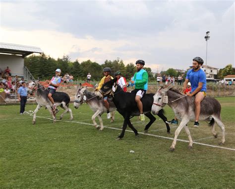 Palio Di San Paolo La Sfida Tra Contrade Al Gran Finale