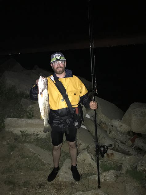 A 24.5” Weakfish (Cynoscion regalis) caught on a tin from a back bay on