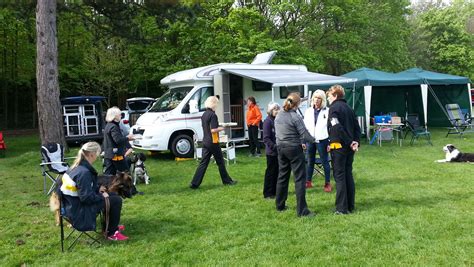 Food arrives – Winchester City Dog Training Club