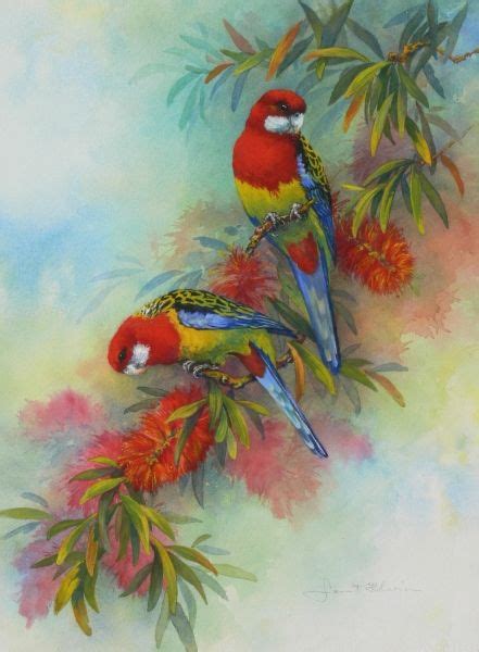 Eastern Rosellas Painting By Janet Flinn I Grew Up With These Birds