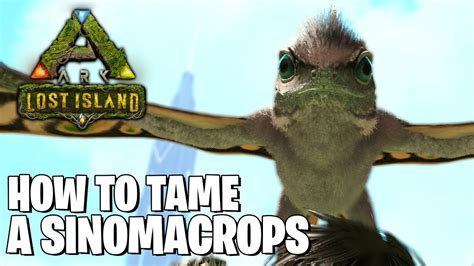 HOW TO TAME A SINOMACROPS IN ARK SURVIVAL LOST ISLAND YouTube