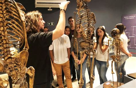 Turma De Odontologia Visita Museu De Ci Ncias Da Vida Da Ufes Rede De